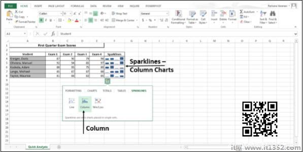 Sparklines Column Chart