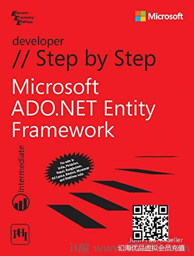 Microsoft Ado.Net Entity Framework