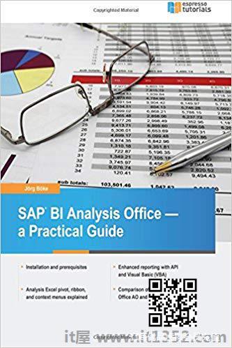 SAP BI分析办公室 - 实用指南