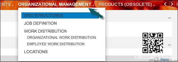 Organizational Management