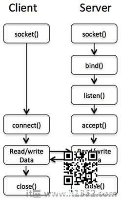 Perl Socket