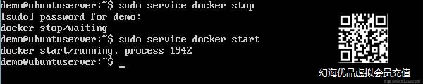 Service Docker Start