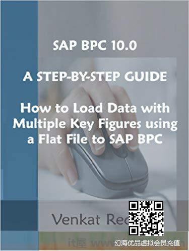 SAP BPC 10.0逐步指南