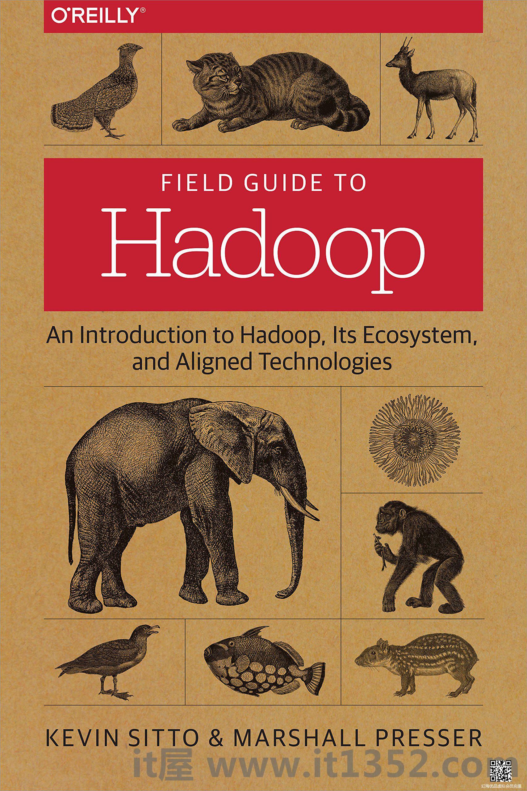 Hadoop字段指南
