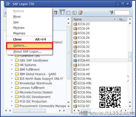 SAP Logon Option