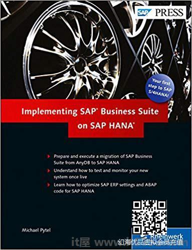 在SAP HANA上实施SAP Business Suite