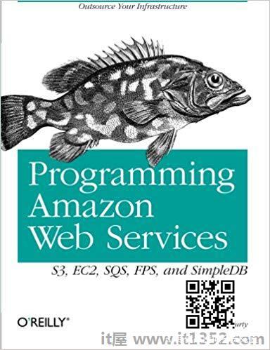 编程Amazon Web Services:S3，EC2，SQS，FPS和SimpleDB
