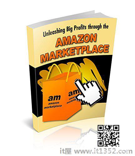 Unleashing Big Profits through AMAZON MARKETPLACE