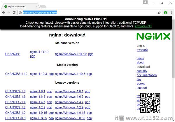 nginx