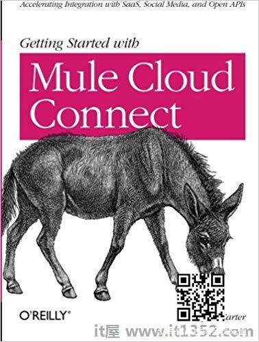 Mule Cloud Connect