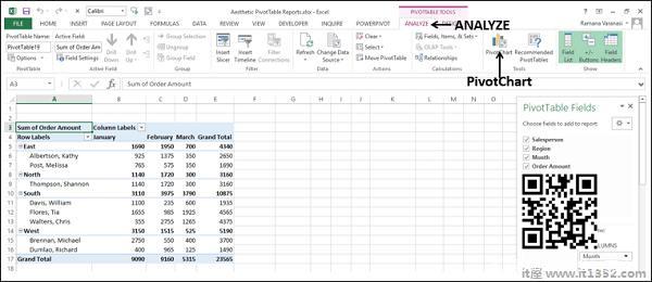 PivotCharts