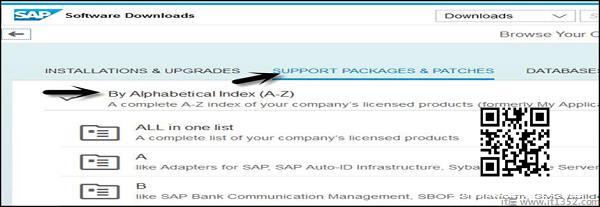 SAP软件下载