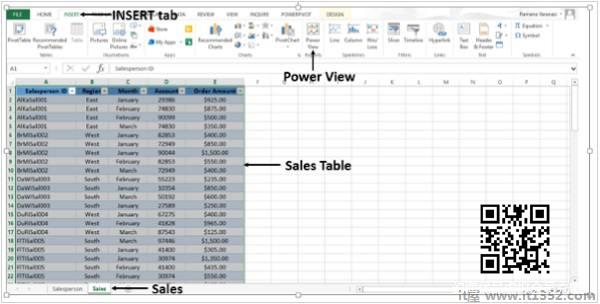 Sales Table Power View