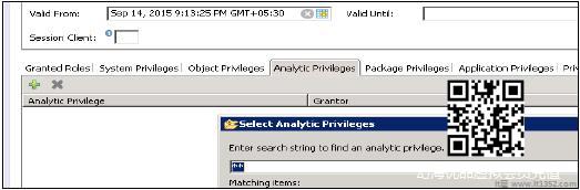Analytic Privileges