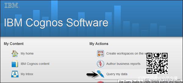 IBM Cognos Software