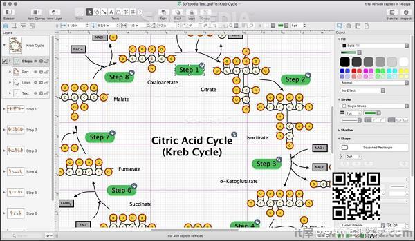 OmniGraffle