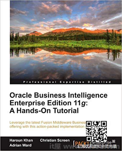 Oracle商业智能企业版11g