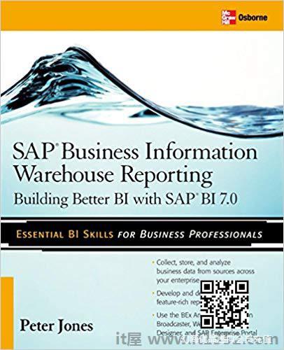 SAP商业信息仓库报告:构建更好的BI SAP BI 7.0